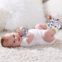 Set of 4 Animal Rattle Baby Socks