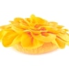 3-D Blossom Accent Pillows - Yellow-Orange