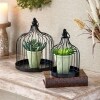 Sets of 2 Farmhouse Cloches