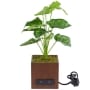 Artificial House Plant with USB Port