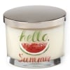 Summer Scent Jar Candles - Watermelon
