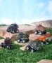 Set of 6 Dinosaur Friction Cars