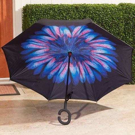 Inverse Opening Flip-Resistant Umbrellas - Black/Blue Daisy