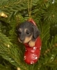 Dog Breed or Cat Ornaments - Dachshund