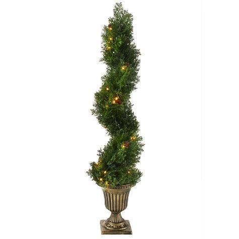 Lighted Pine Topiaries - Spiral