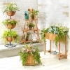 Wood Planter Collection