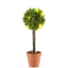 Lighted Faux Boxwood Topiaries or Wreath