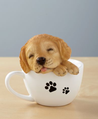 Teacup Pups - Golden Retriever