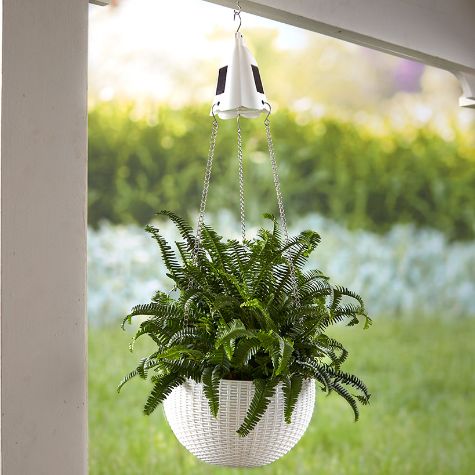 Hanging Basket Planter with Solar Light