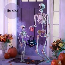 35" or 65" Poseable Skeletons