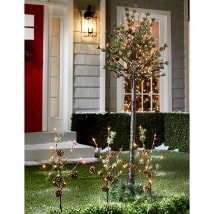 Holiday Lighted Trees