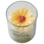 7-Oz. Scented Flower Jar Candles - Rosemary