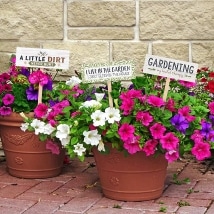Set of 3 Garden Signs with Sayings