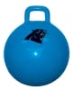 NFL 17" Hoppers - Panthers
