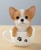 Teacup Pups - Chihuahua