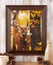 Framed Personalized Wildlife Prints