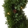 Lighted Pine Topiaries