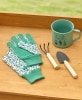 Garden Tools and Mug Sets