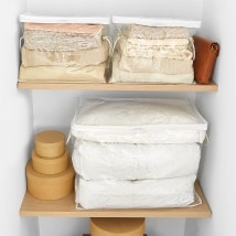 Clear Closet Storage Chests