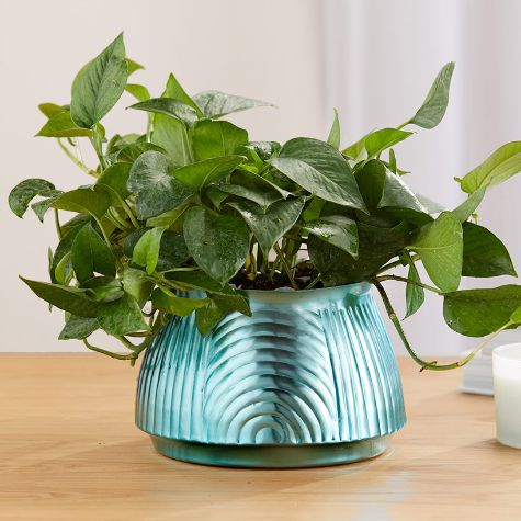 Ribbed Metal Planters - Small