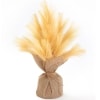 Natural Hays and Grasses Home Accents