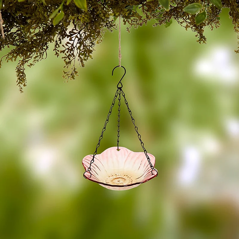 Bird Feeders & Baths