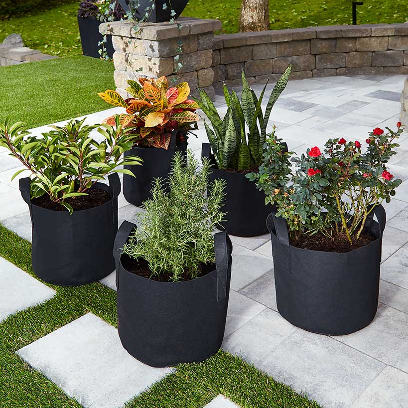 7 Gallon Grow Bags Set Of 5 With Built In Handles