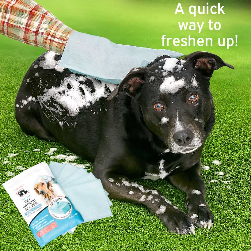 Pet Bath Soapy Gloves - Quick and Easy Cleaning for Your Dog - Set of 5