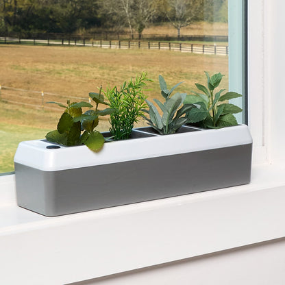 Windowsill Herb Planter - Self Watering