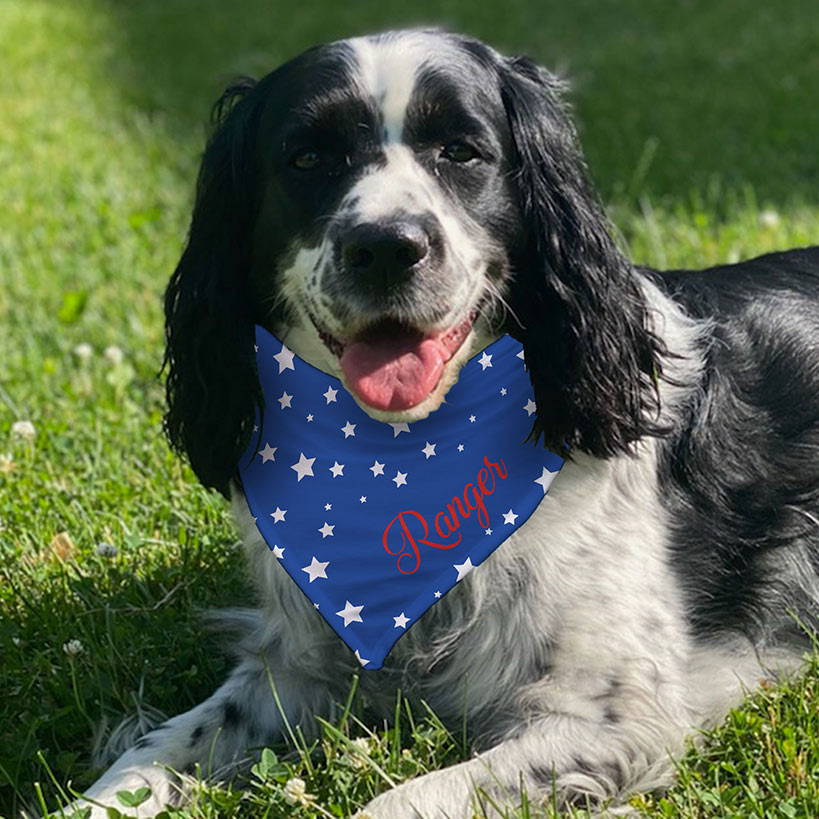 Personalized Patriotic Stars Dog Bandana