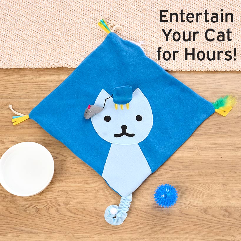 Cat Indoor Play Mat With 5 Attached Toys