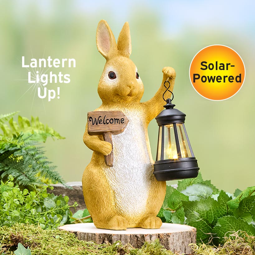 Solar Welcome Bunny Garden Statue With Lantern