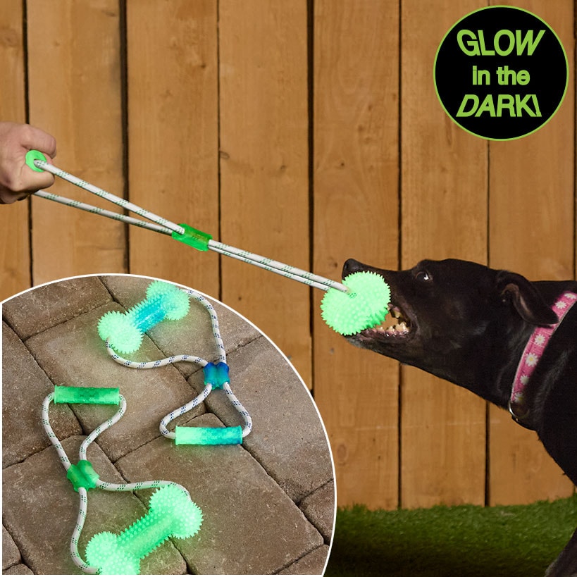 Glow-in-the-Dark Bone Dog Toy - Fetch, Chew, and Tug Fun