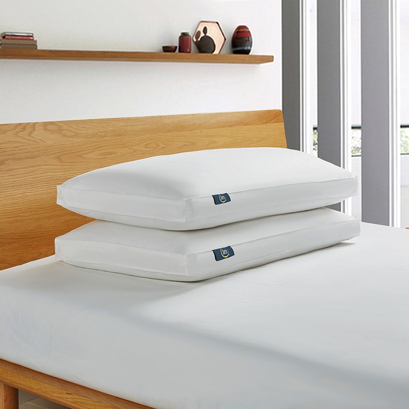 Serta White Goose Feather and Down Fiber Gusseted Pillow 2-Pk