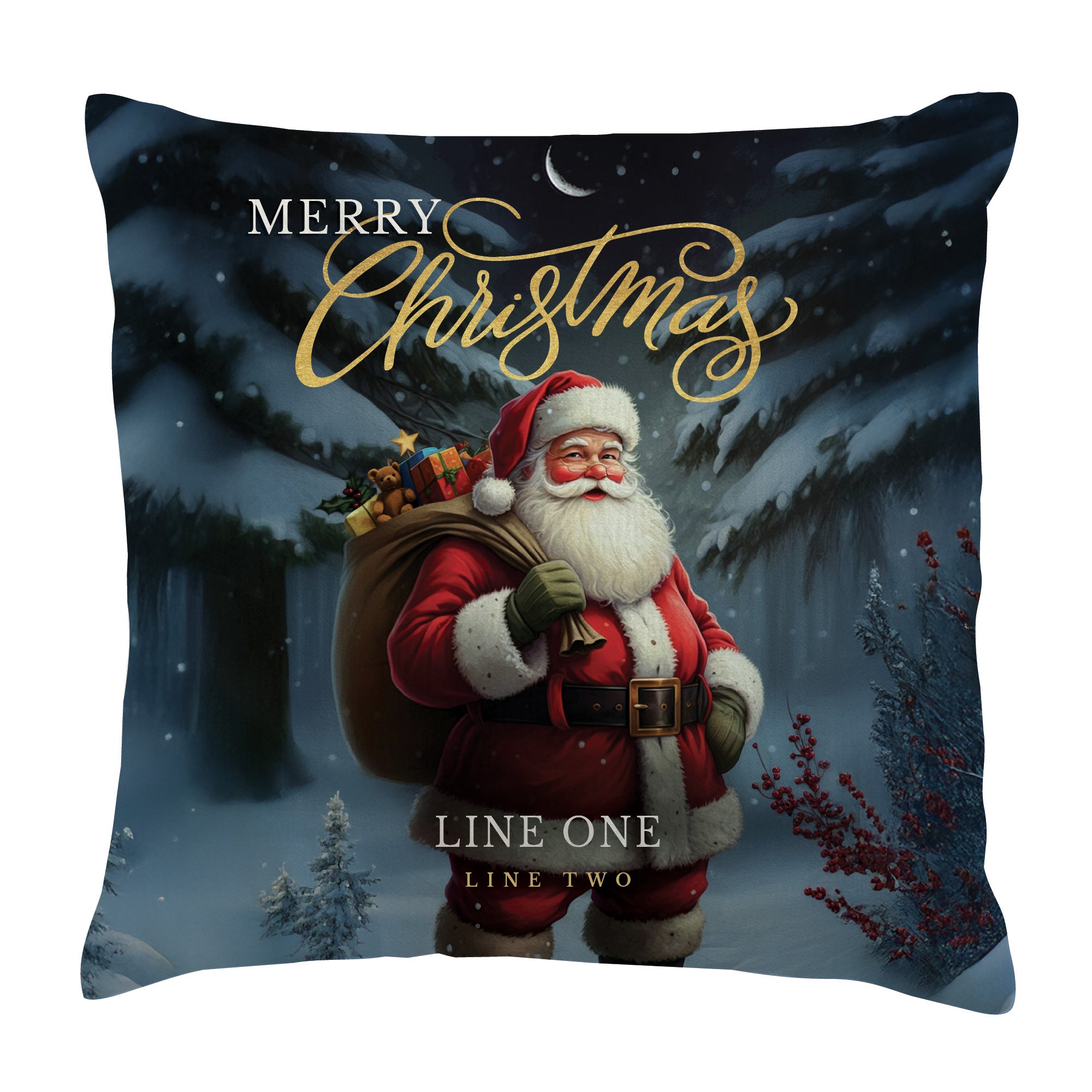 Personalized Merry Christmas Santa 14" Throw Pillow