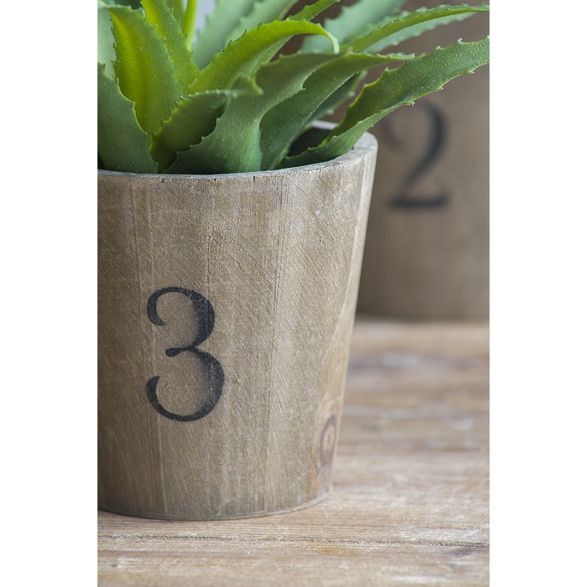 Set of 3 Thornton Flower Planter, L:8.3x8.3x6.5", M:6.8x6.8x6.1", S:5.3x5.3x5.1" - image 3