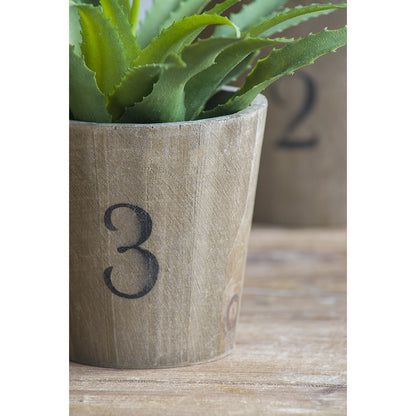Set of 3 Thornton Flower Planter, L:8.3x8.3x6.5", M:6.8x6.8x6.1", S:5.3x5.3x5.1" - image 3