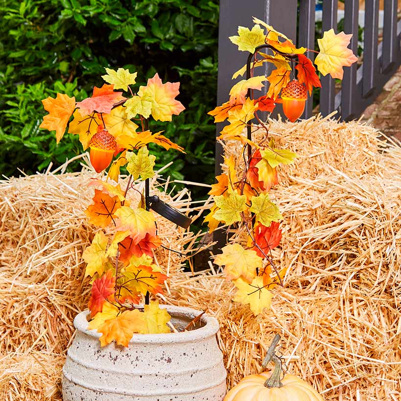 Solar Acorn Stakes Set of 2
