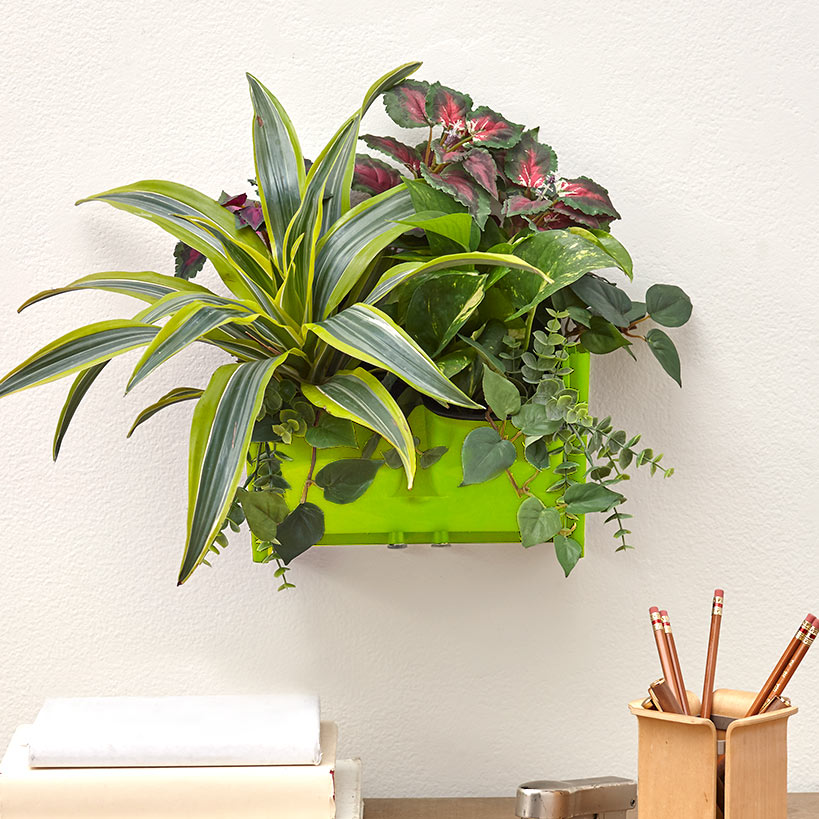 Wall Planting System