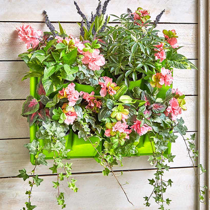Wall Planting System