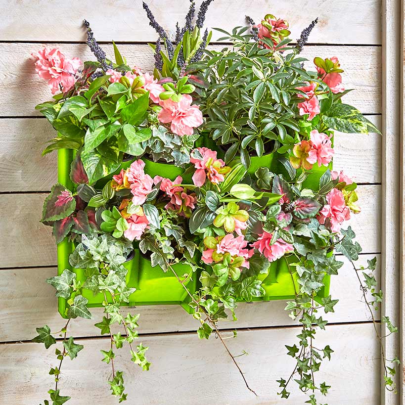 Wall Planting System