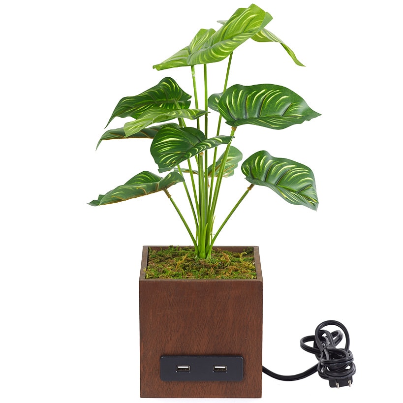 Artificial House Plant with USB Port
