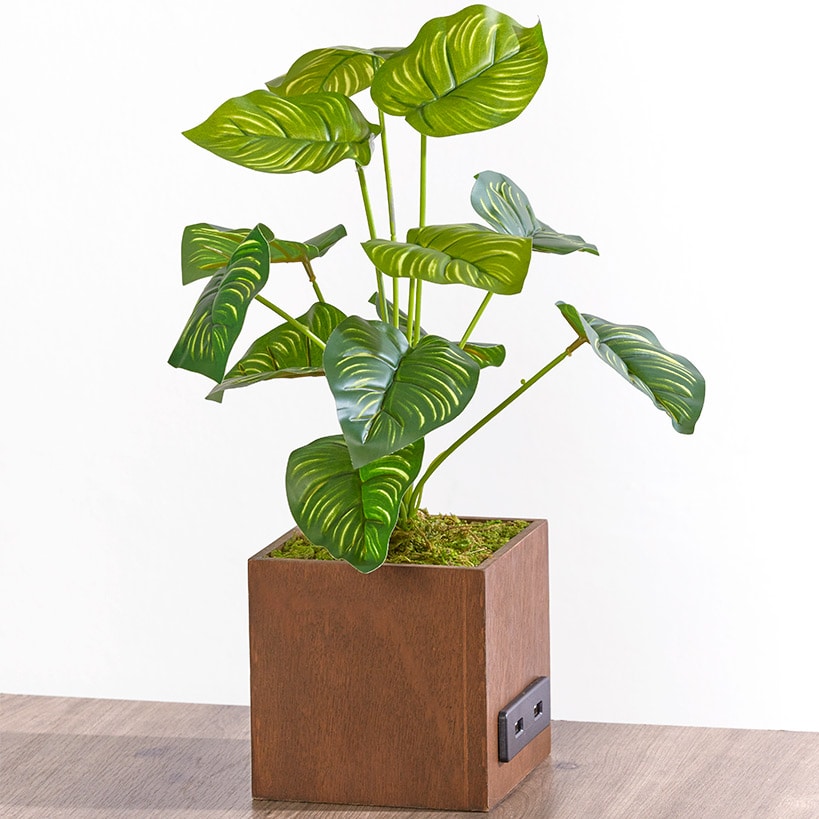 Artificial House Plant with USB Port