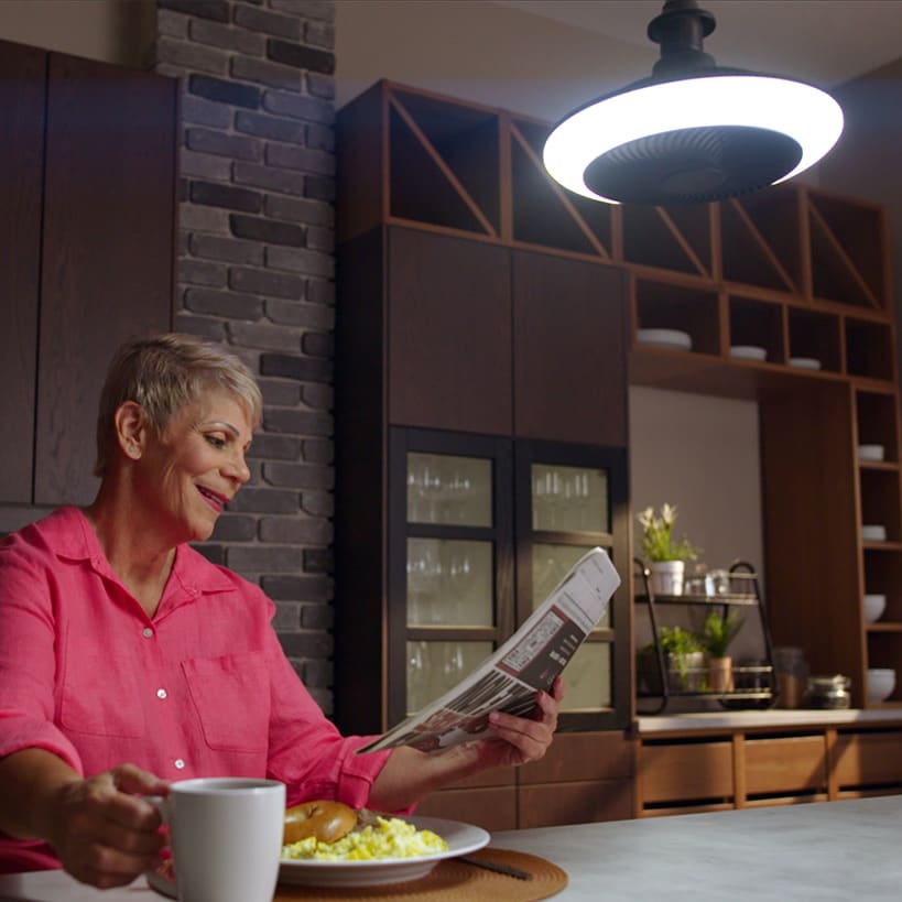 Breeze Brite Fan with LED Light