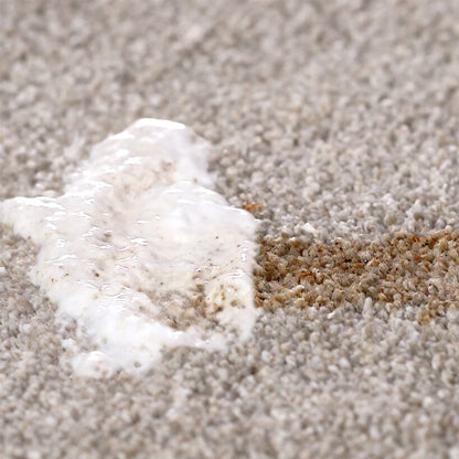 Bull Shot™ Carpet Spot And Stain-Lifting Foam Remover By Horsepower™