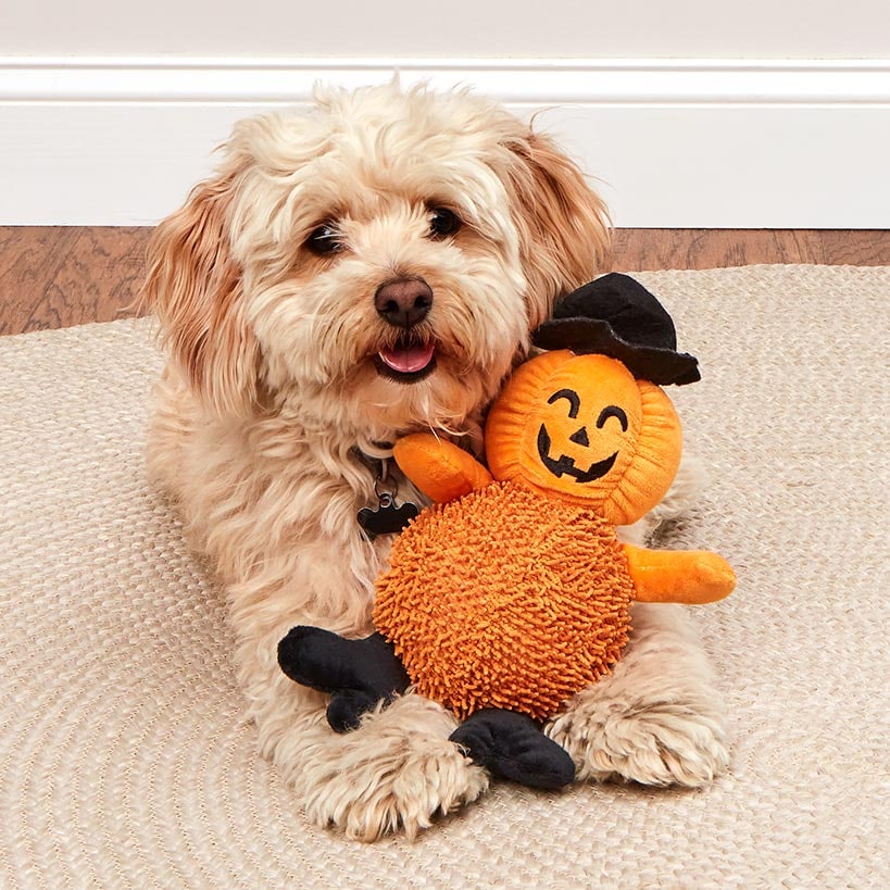 Giggling Pumpkin Halloween Dog Toy#select-toy_pumpkin