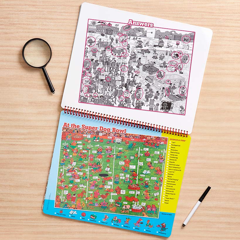 Family Fun Search & Find Book