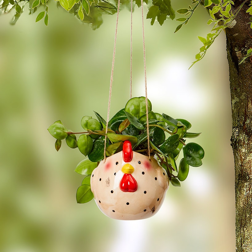 Animal Planter Farm Cow Pig Sheep or Chicken Hanging Ceramic Decor#select-animal_chicken