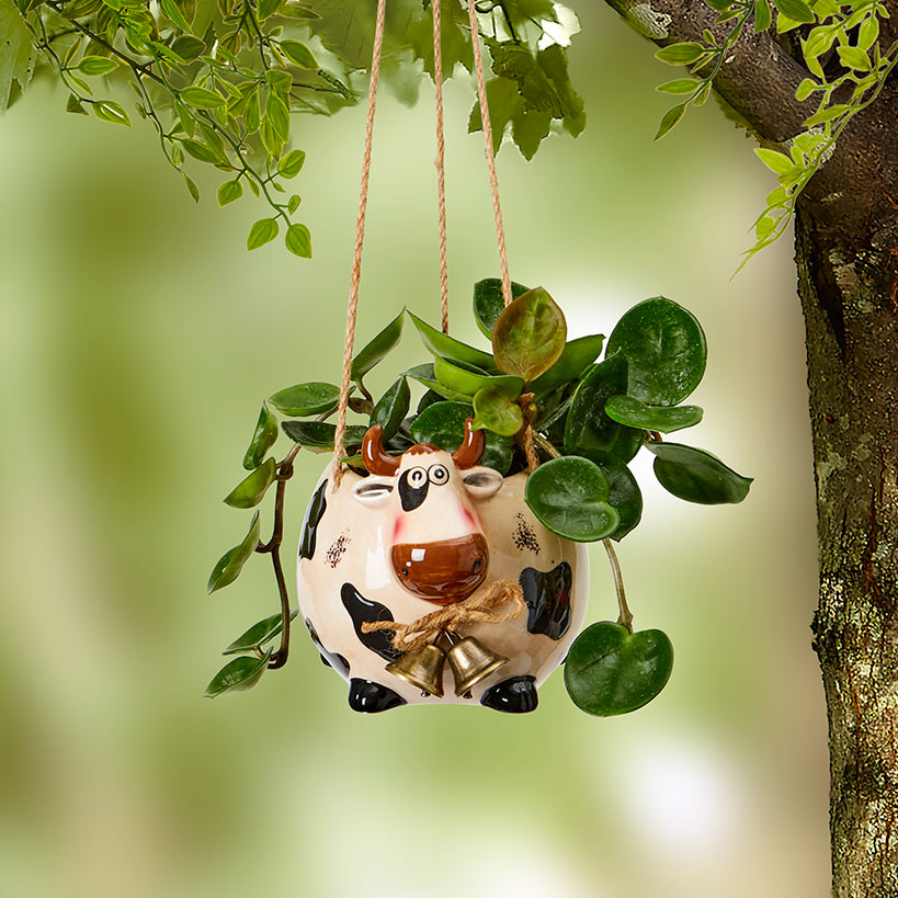 Animal Planter Farm Cow Pig Sheep or Chicken Hanging Ceramic Decor#select-animal_cow