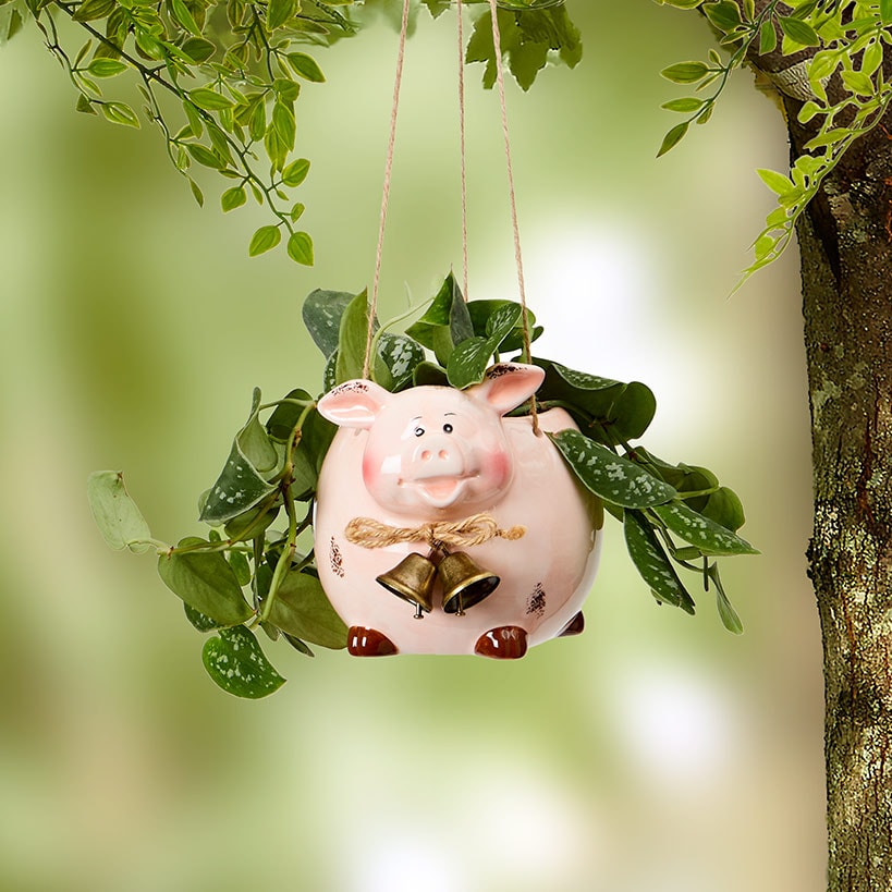 Animal Planter Farm Cow Pig Sheep or Chicken Hanging Ceramic Decor#select-animal_pig